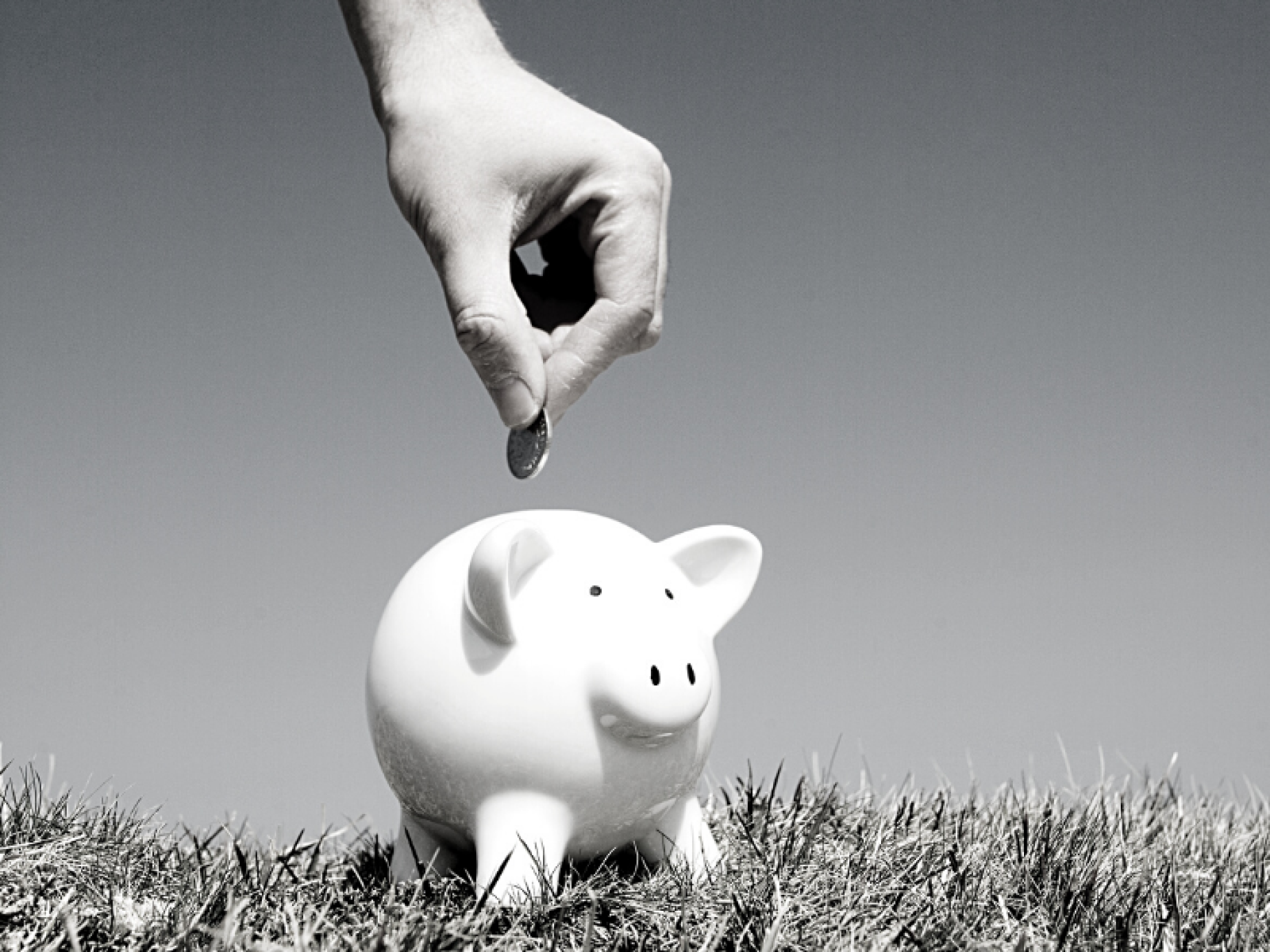 Stock image kiwisaver piggybank 2